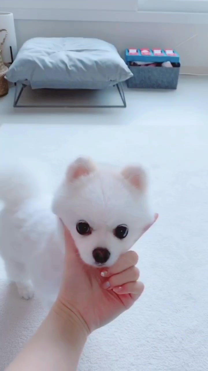 @권하리