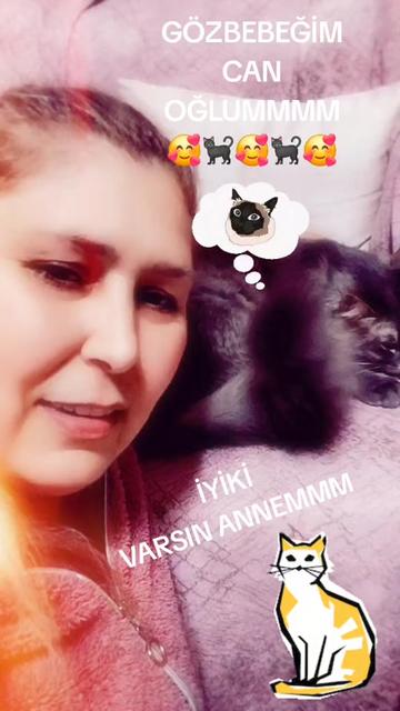 @dumanbey🐈⬛pamukhanım🐈