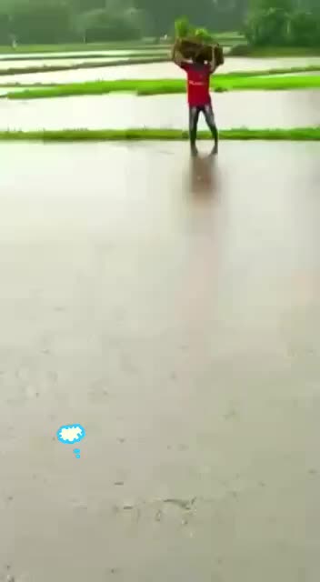 @janardan gavandi