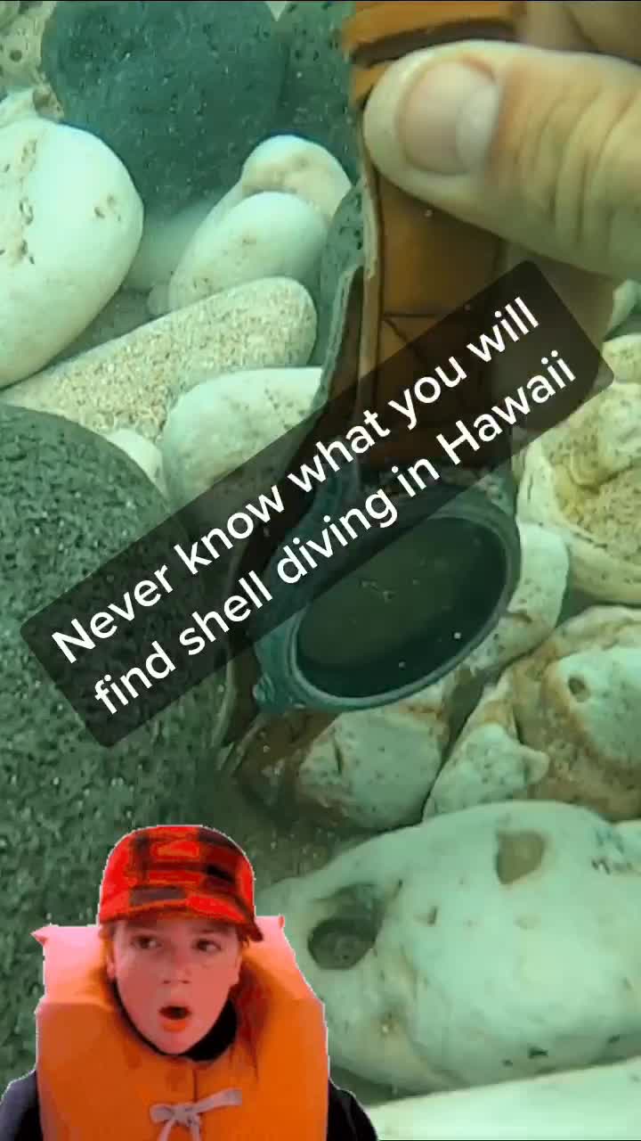 @northshoretreasurehu