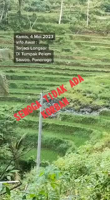 @@timar