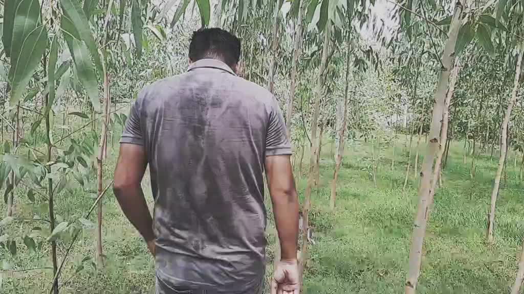 @Hardik Gadhavi
