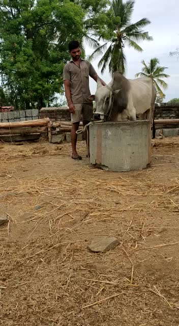 @Sangeeth-Kumar