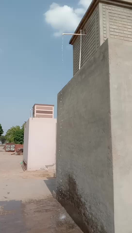 @Sukhpal_kamboj_alika