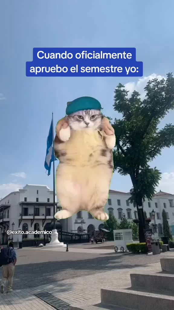 @&Eacute;xito Acad&eacute;mico