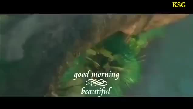 @Ramlucky