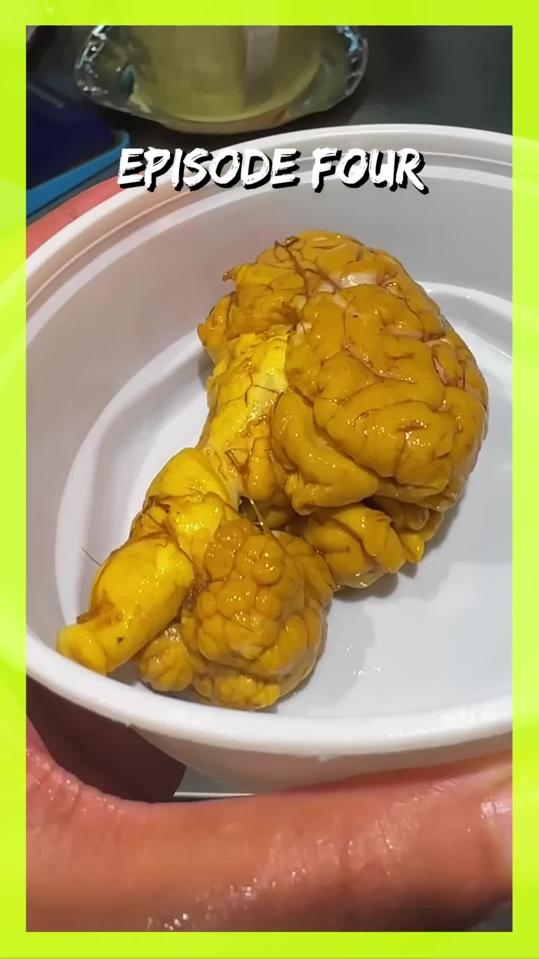 @user7246143167072