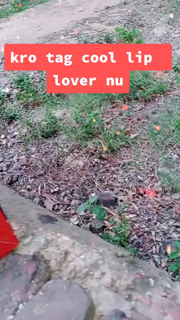 @BHANKHARPURIA