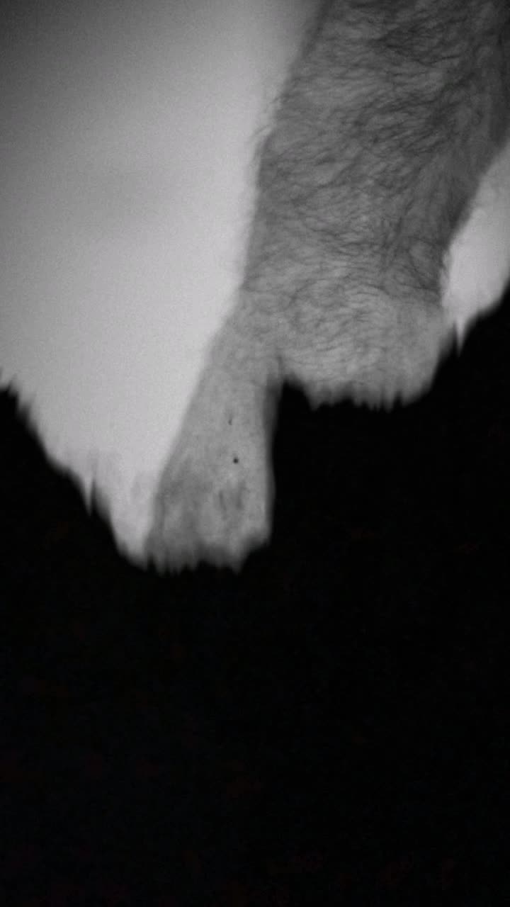 @𝖍𝖎𝖘_𝖏𝖊𝖗𝖗𝖞 ❤️
