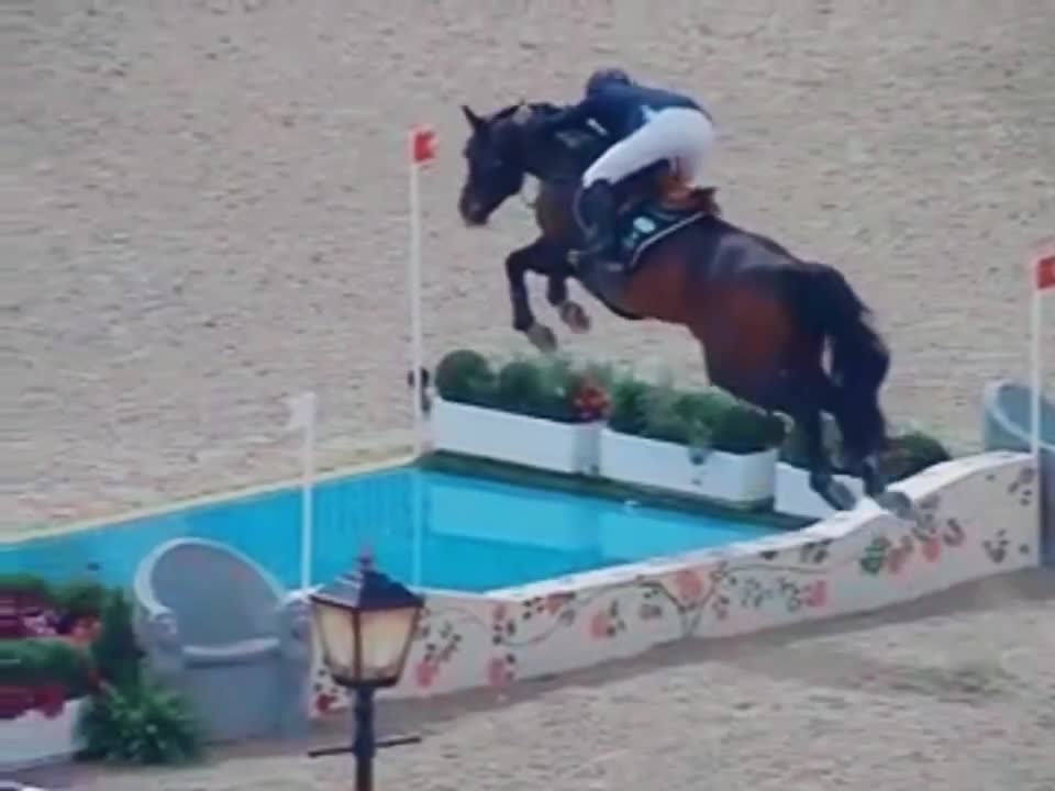 @Horse Editz!