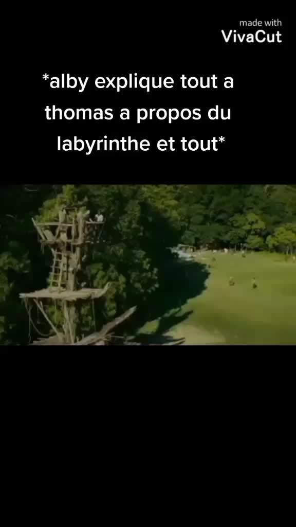 @maze runner🙈✨