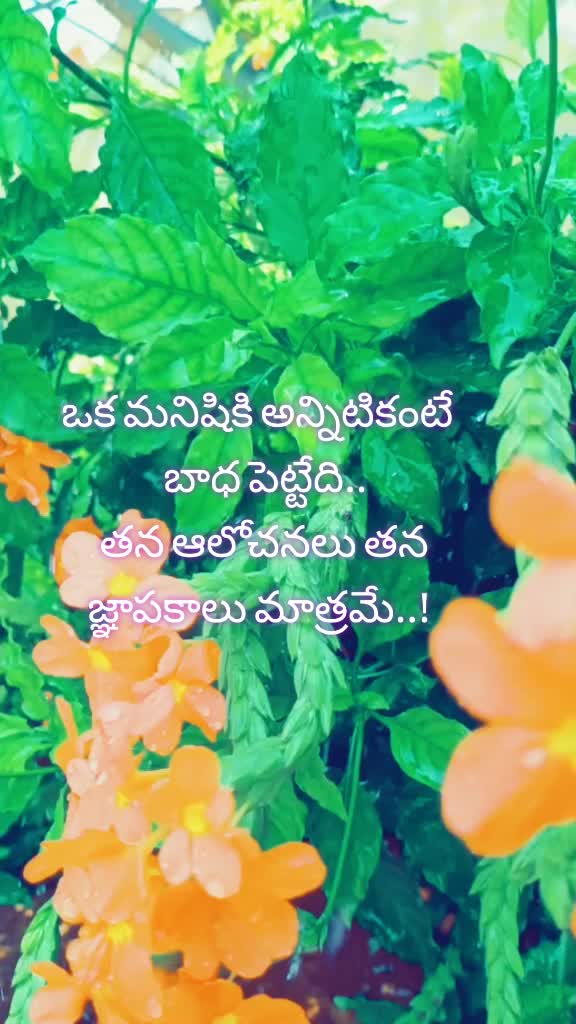 @KANDUKURI gari ABBAI