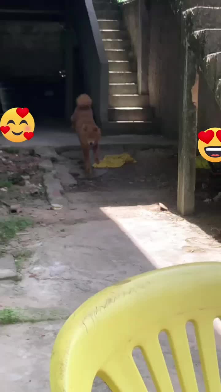 @Hdav22