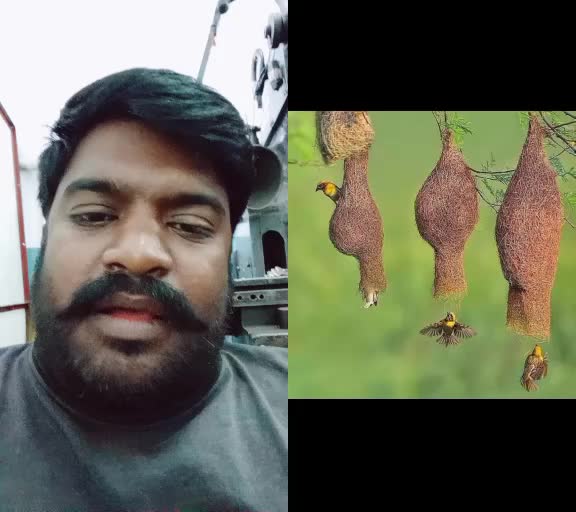 @Saha Sahadevan