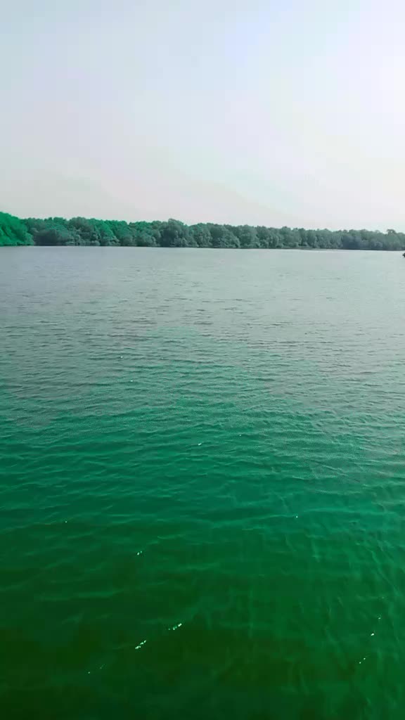 @shezaanshah221