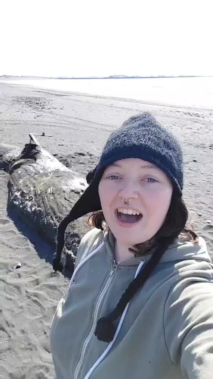 @scuttlefish