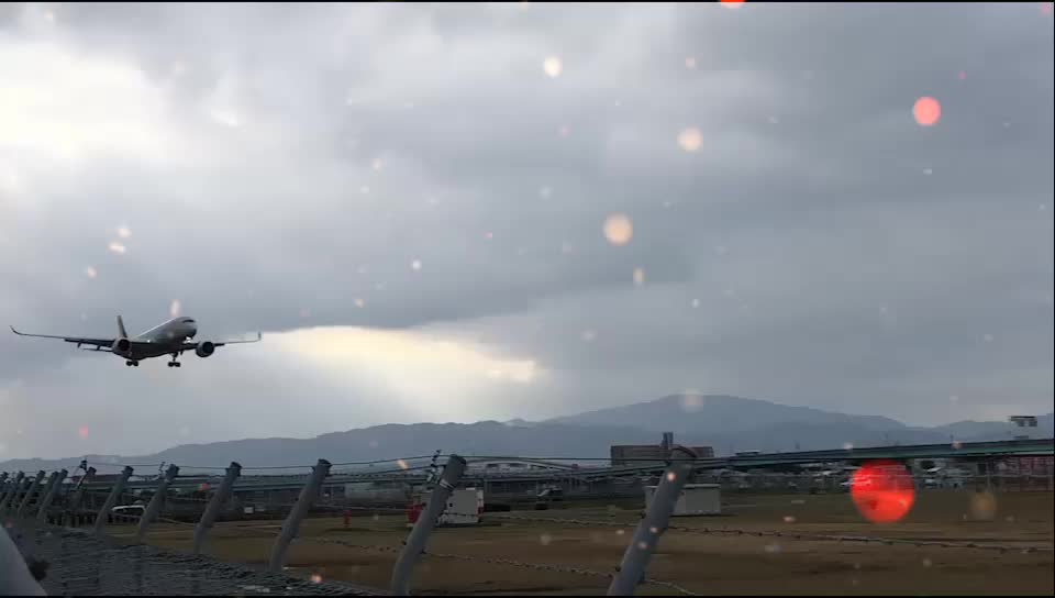 @JAL