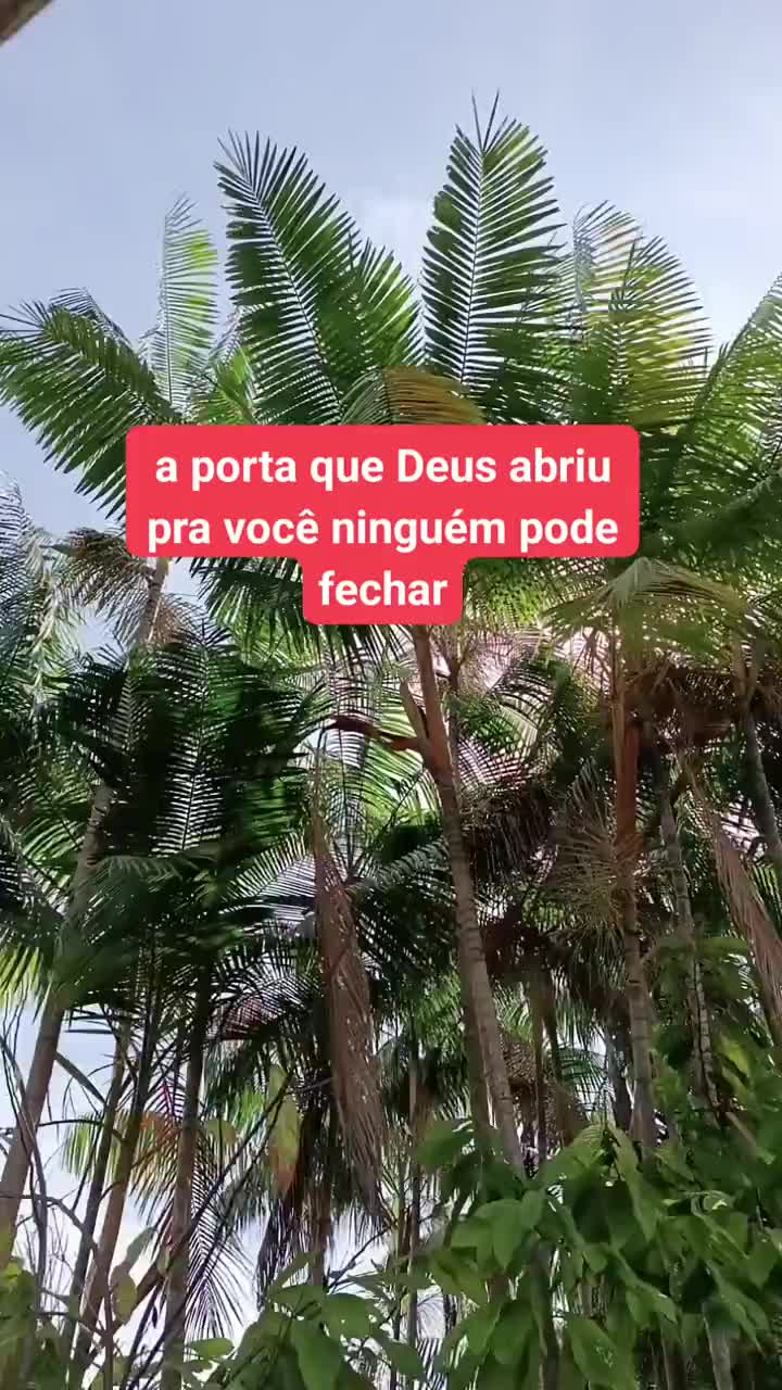 @Ronaldo