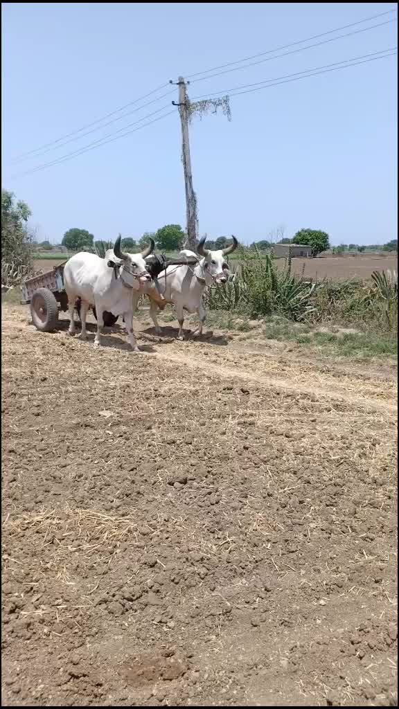 @Hardik8920