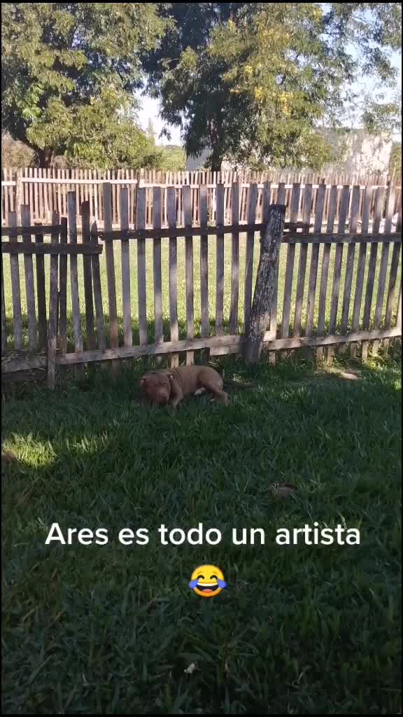 @amadacaceres_14