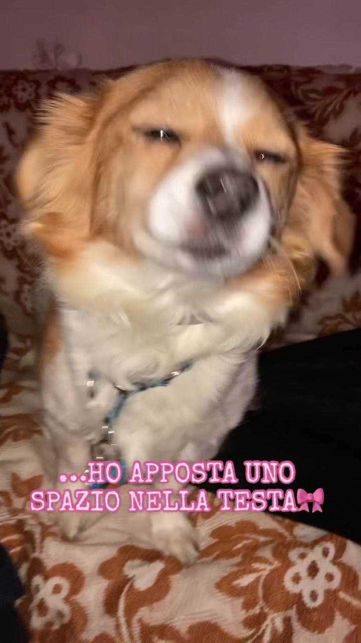 @Aliciotta