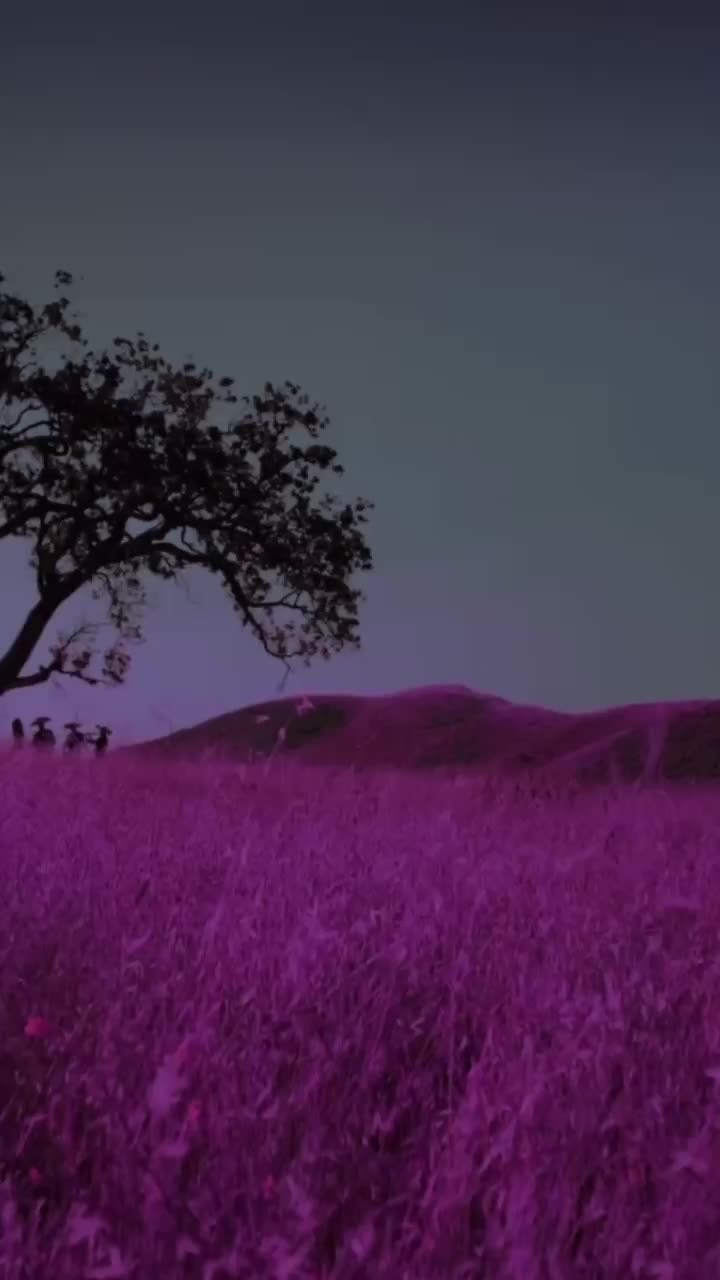 @𝘿𝙄𝙎𝙎𝙀𝙈𝘽𝙇𝙀𝙍