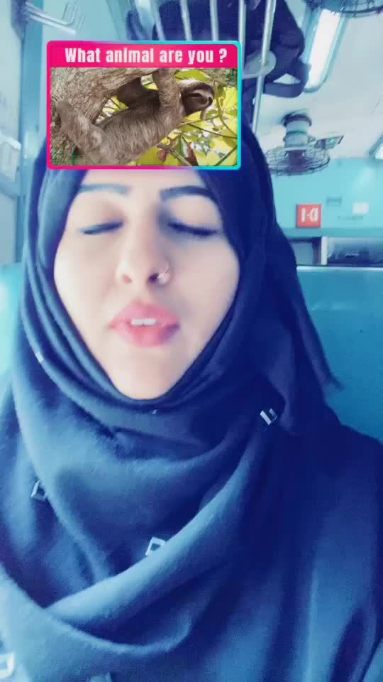@sajlasaleem