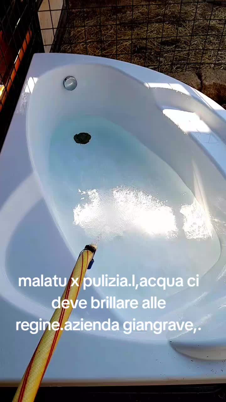 @Pablo86