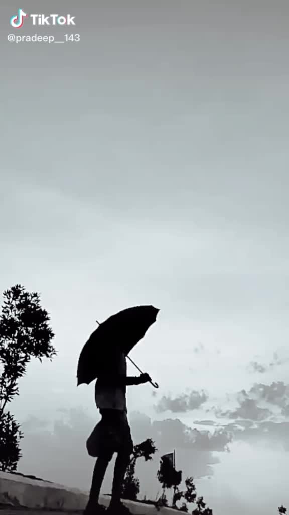 @mahi