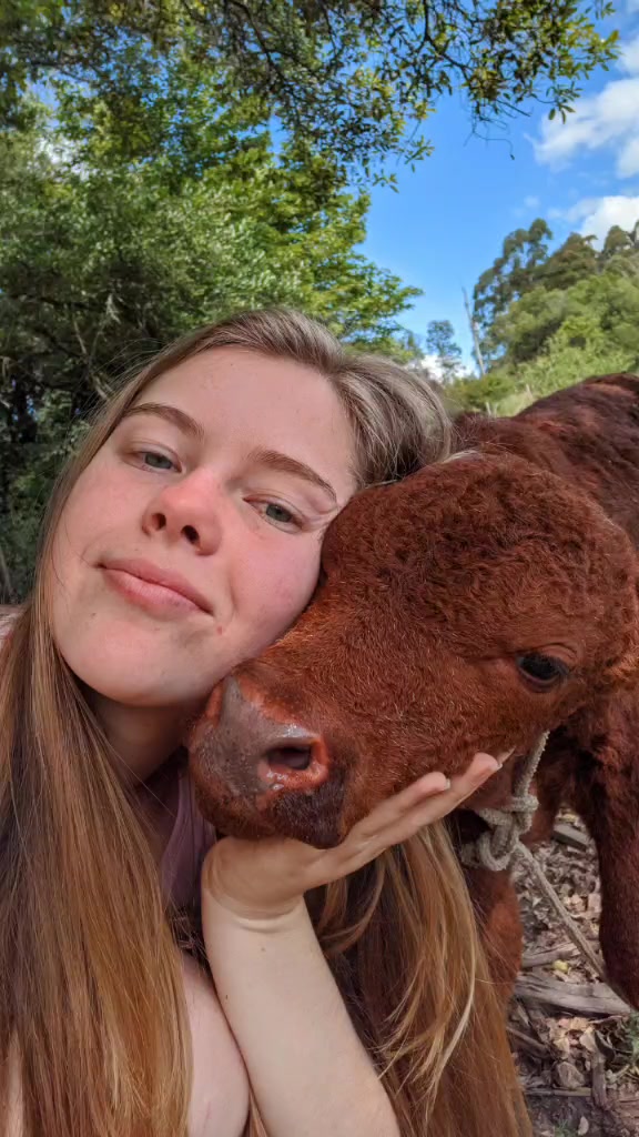 @Eduarda Tuchtenhagen
