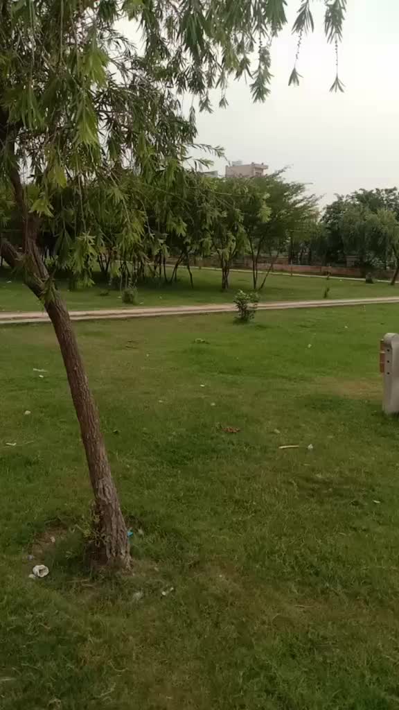 @PaplaGUJJAR0077