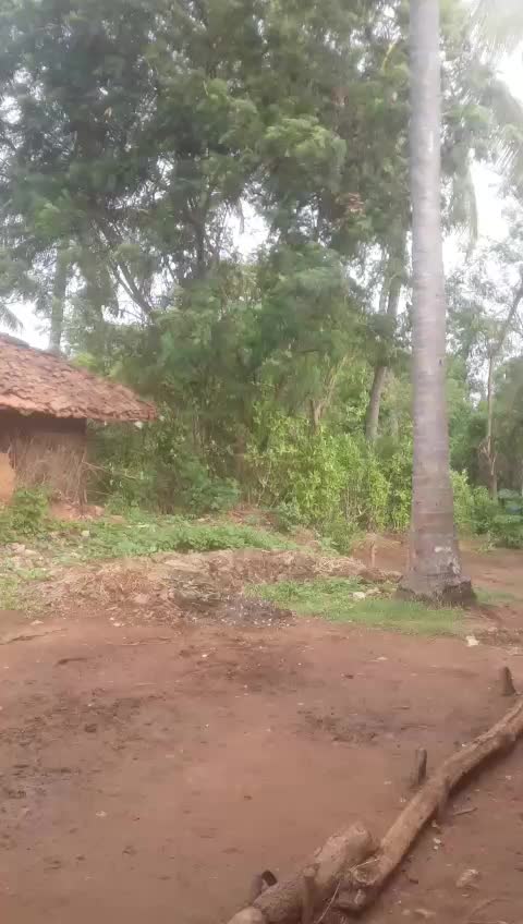 @kayvya