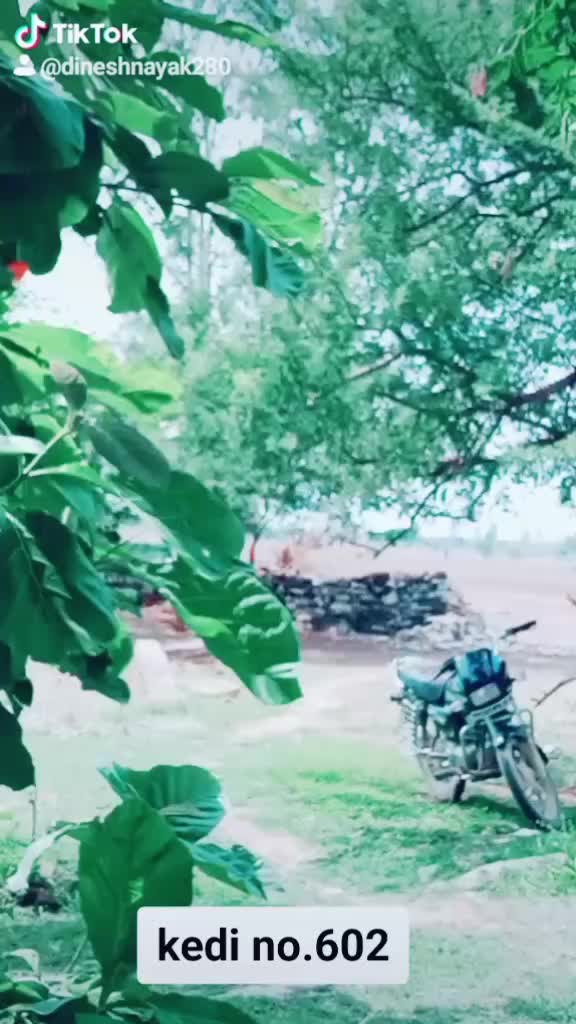 @DineshNayak696247