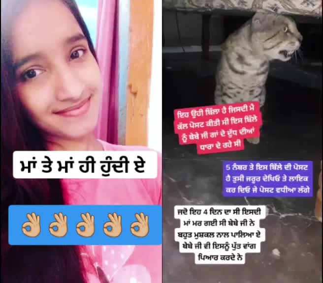 @user04446738169