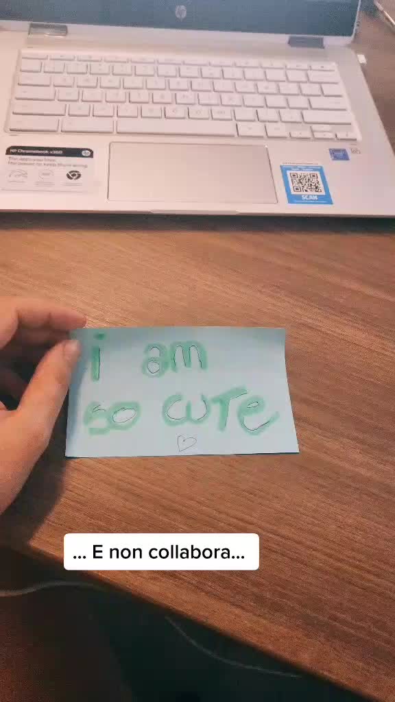 @Francesca Bellant542
