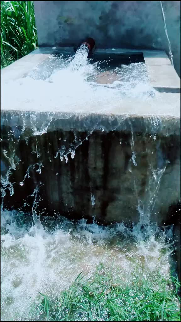 @user6424130769860