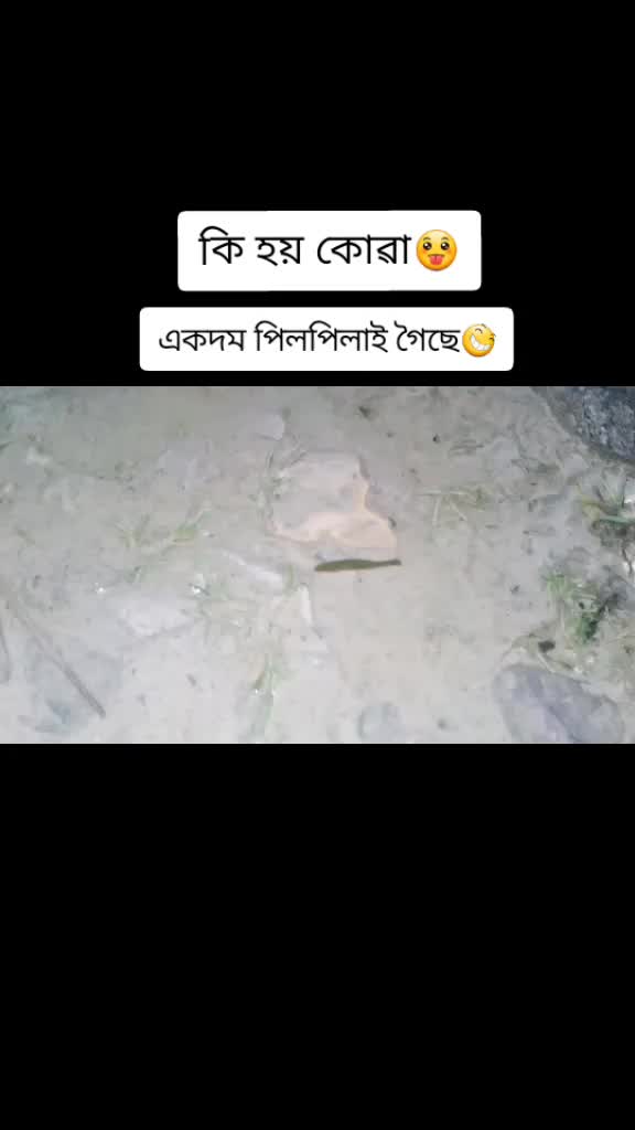 @👑Dikshita👑