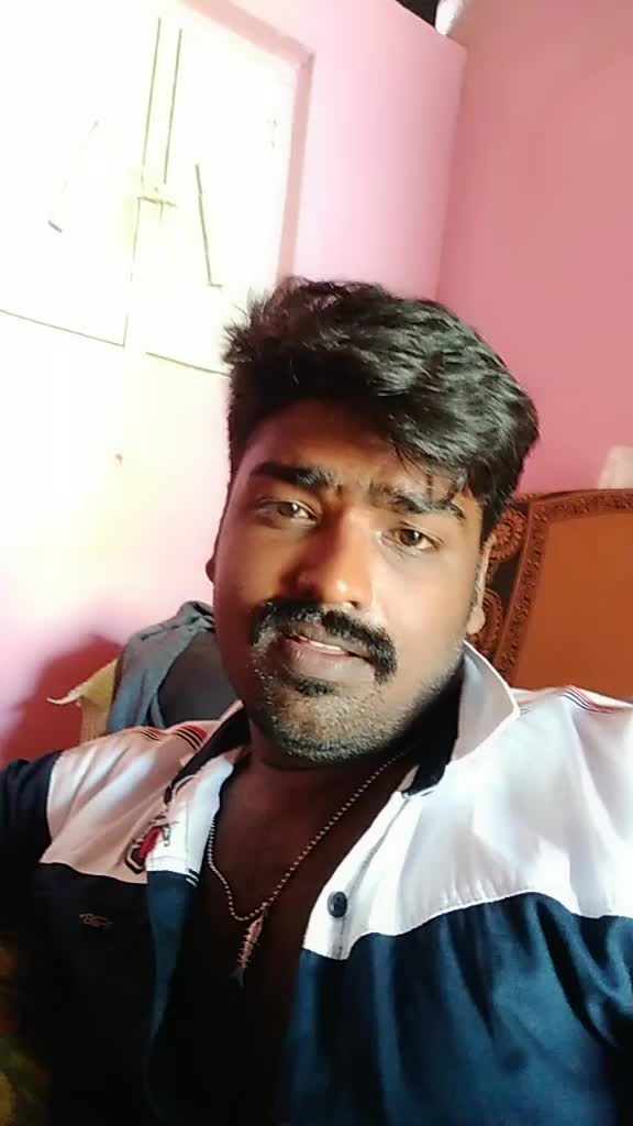 @Chandru Cat