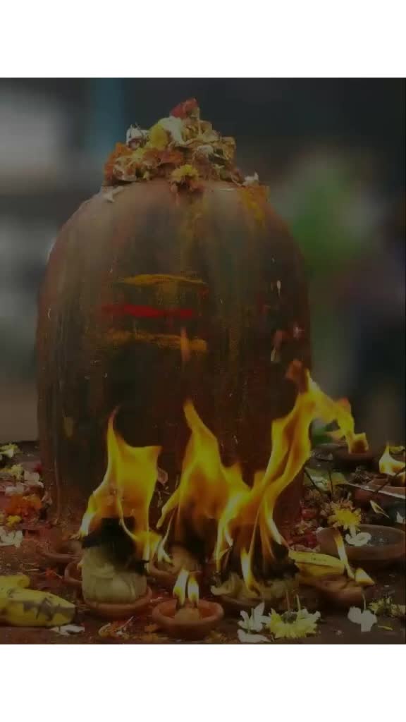 @OM NAMAH SHIVAYA🙏🙏