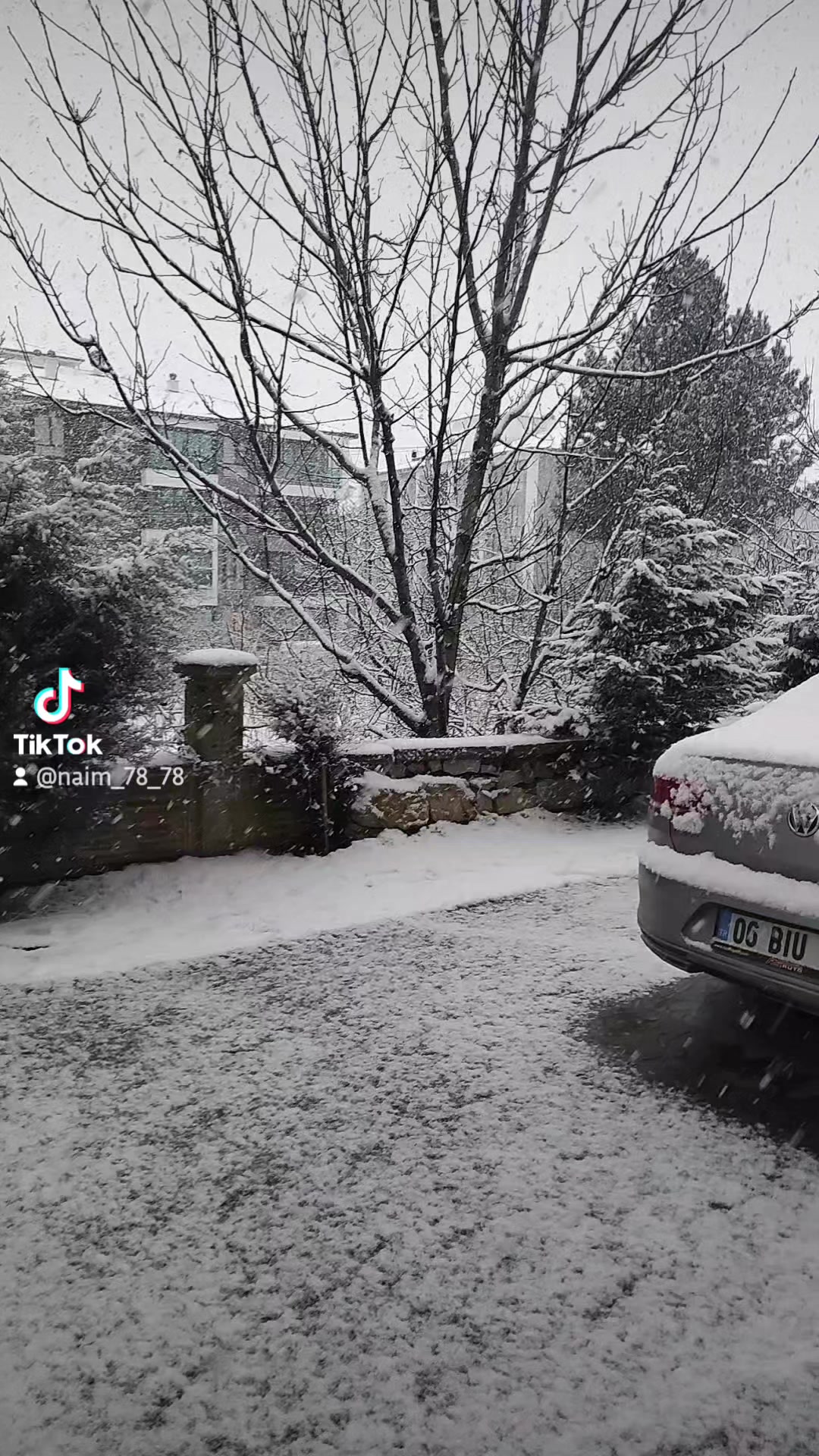 @Naim Kör