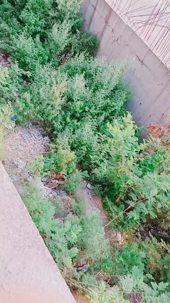 @Z N M
