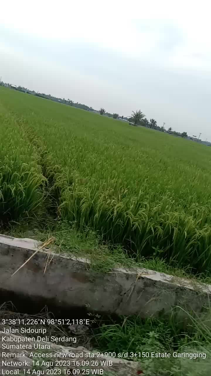 @borneo5379017718526