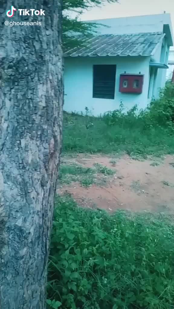 @sadhiksadhik46