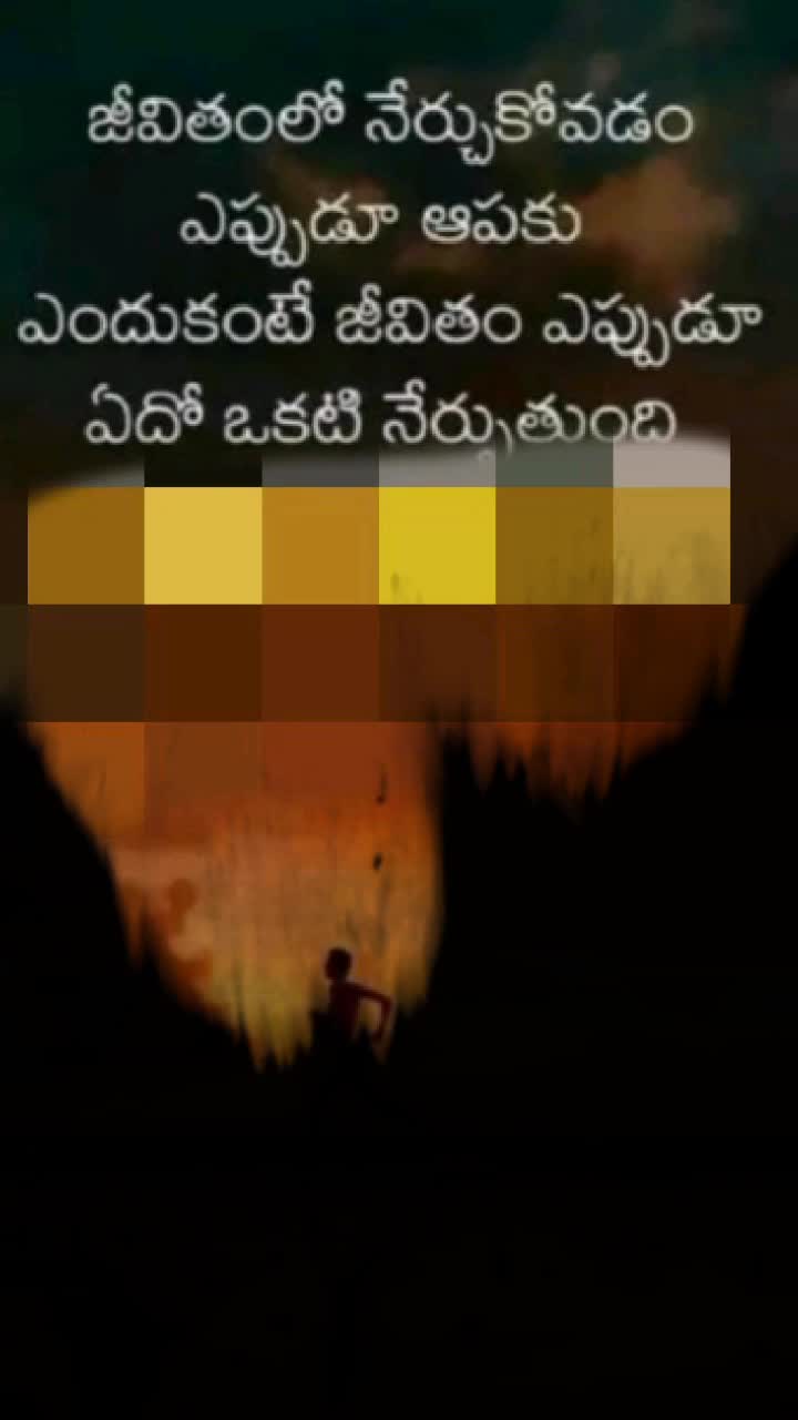 @tribal BoY 750