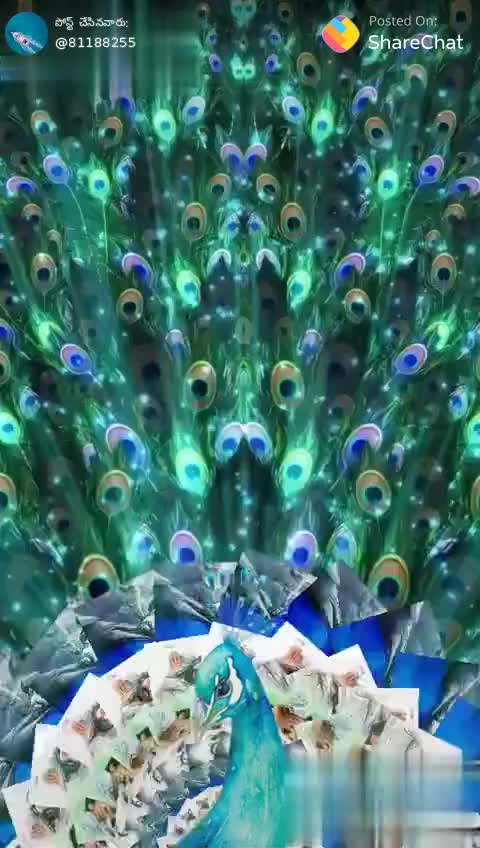 @Srinu chiru