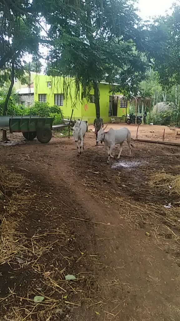 @ಗೌಡ್ರು ಹುಡುಗ ಉದಯ್