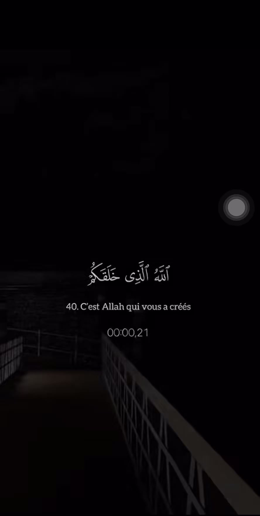 @omar_seijuro