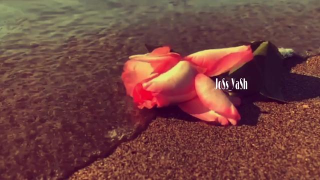 @jOsS yAsH
