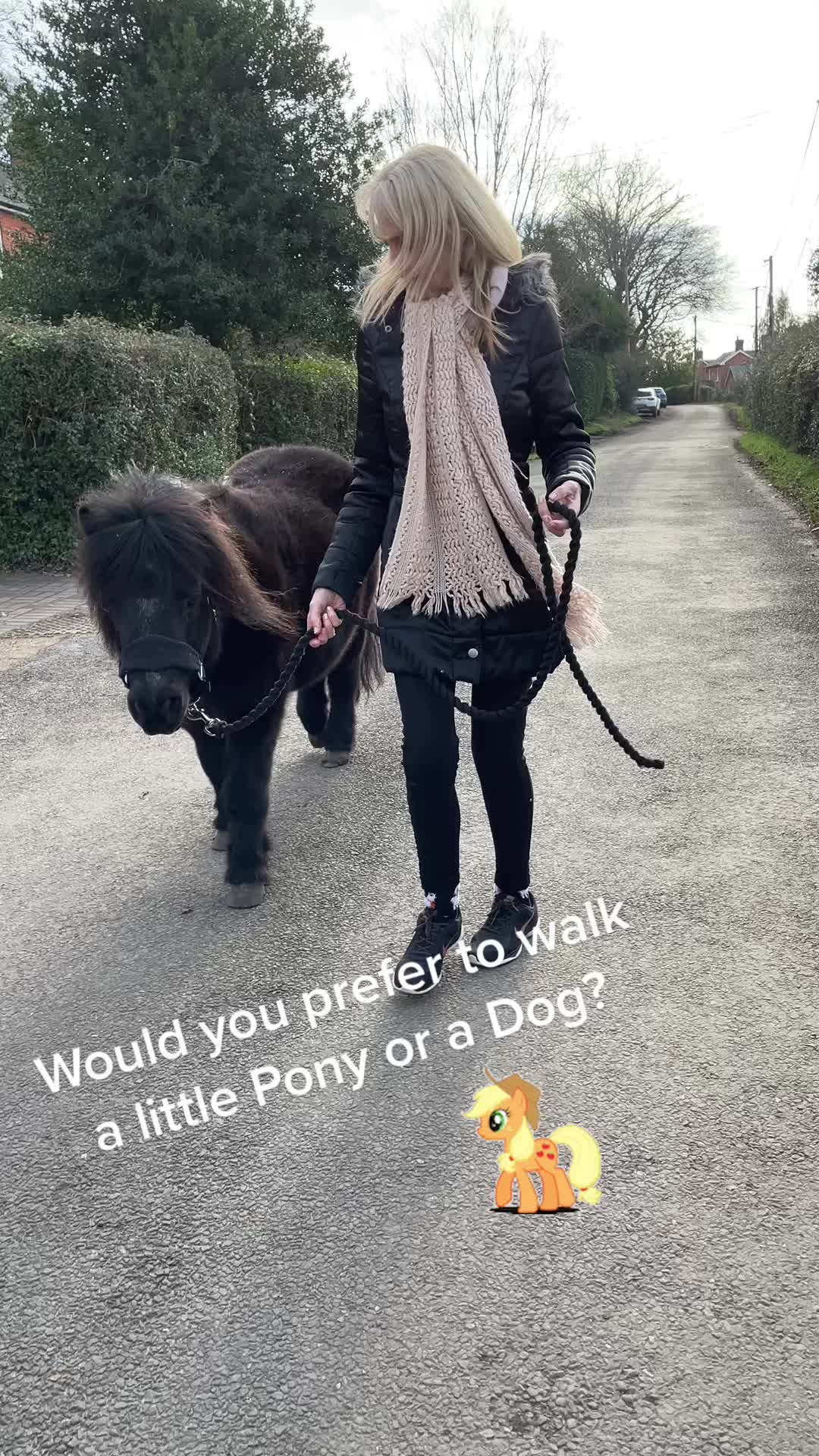 @paulinemayse