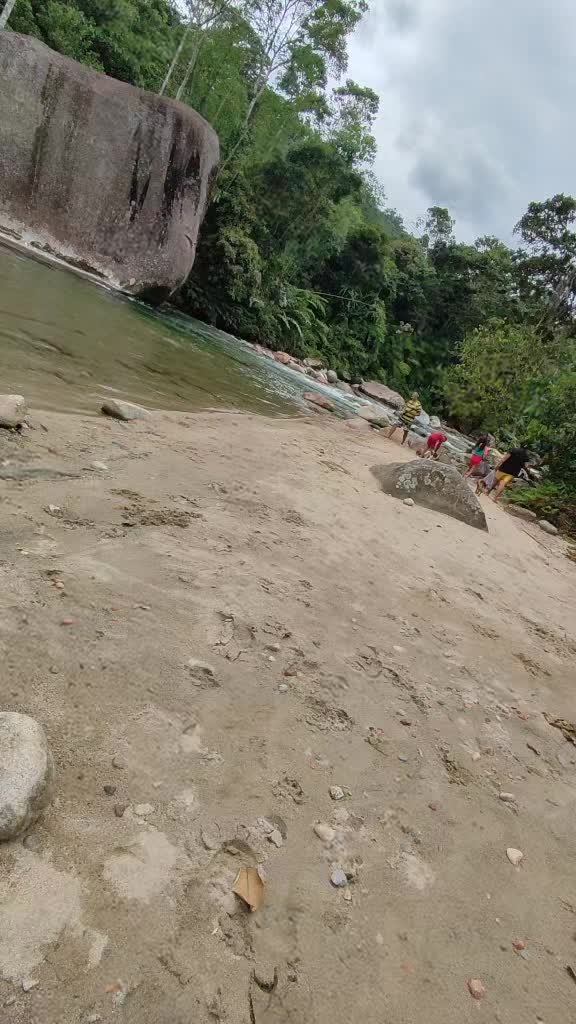 @Amazonia viral